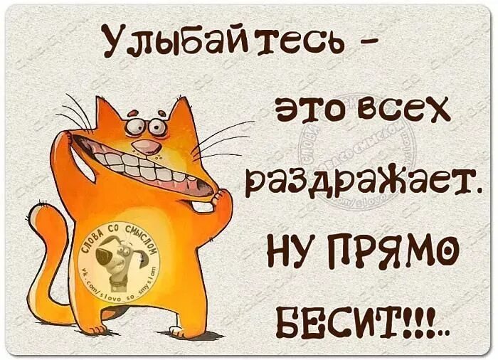 Постоянно все раздражает что делать. Смешные статусы. прикольные статусы. улыбайтесь это всех раздражает. слова со смыслом женский юмор.