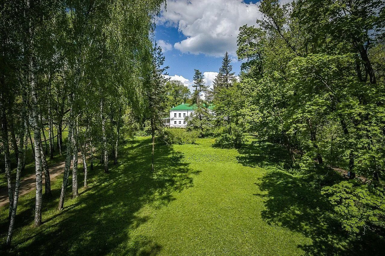 брерёзоваяаллея в ясной поляне. ясная поляна тула. школа ясная поляна тула. н. ясная поляна тула природа.