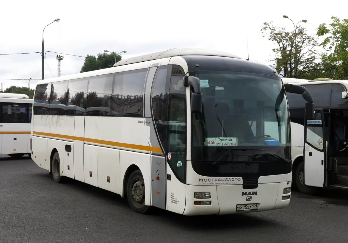 Сегодня автобус руза москва. Man Lion's coach r07 (rhc444). Автобус Руза-Москва Тушинская 455. 455 Автобус Руза Тушино. А/С Тушино автобус 455.