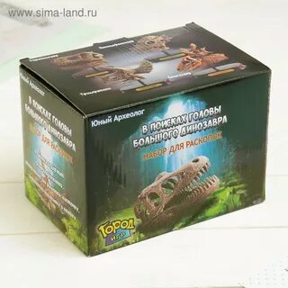 Юный археолог