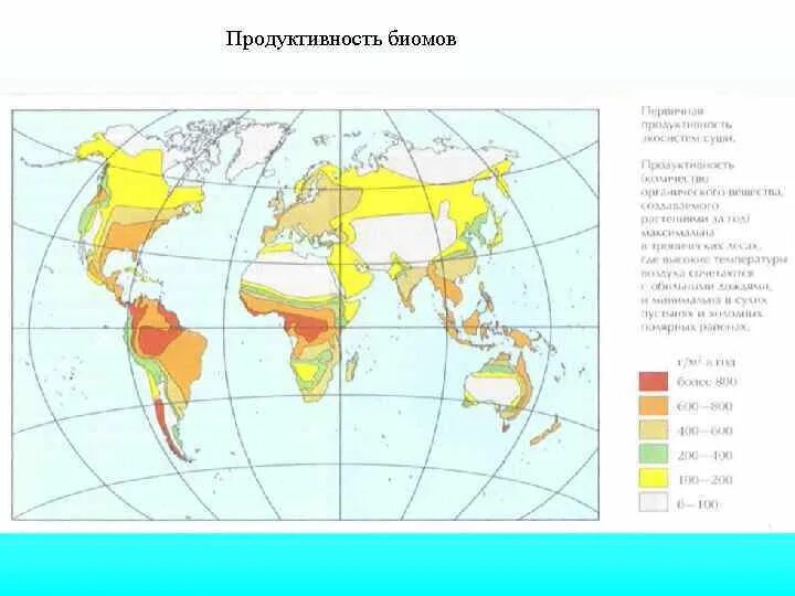 Биомы суши. Зональные биомы суши. Карта основных биомов суши. Основные биомы суши карта.