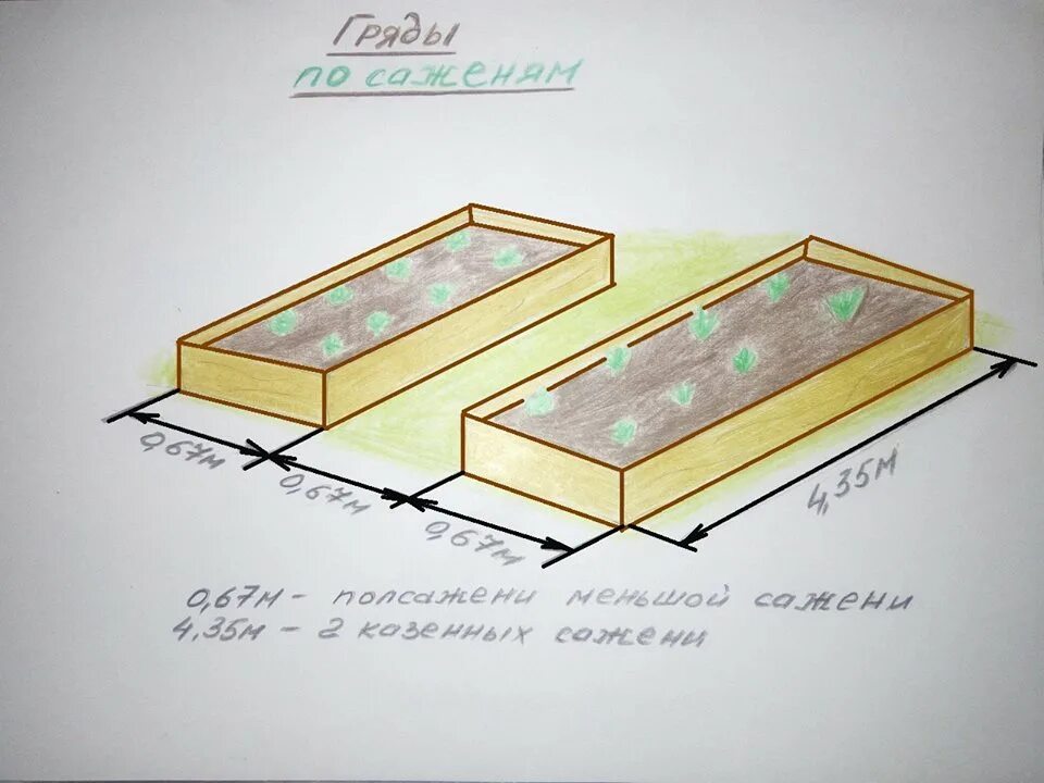 Размер грядок на огороде. Огород по Митлайдеру схема посадки. Ширина грядки. Удобный размер грядок. Удобные высокие грядки.