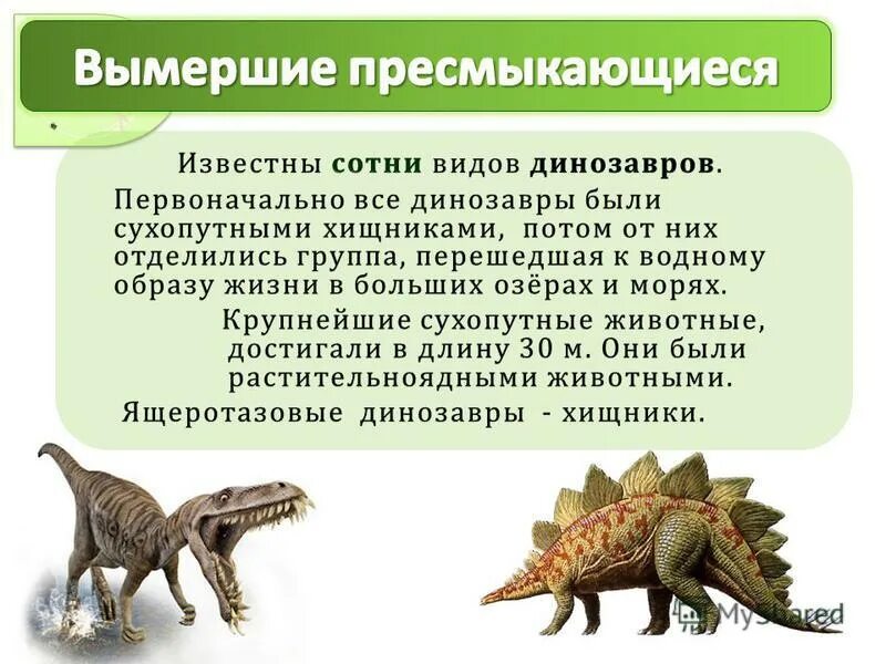 исчезающие виды пресмыкающихся