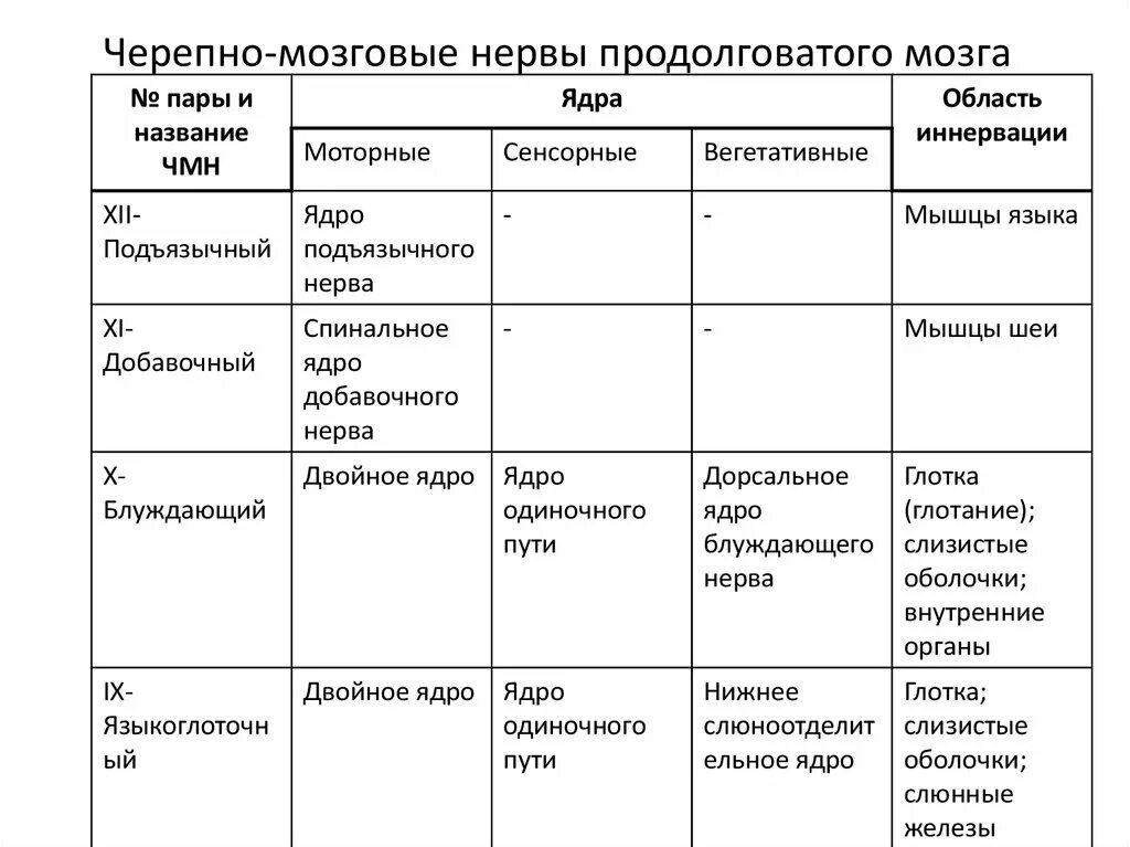 Состав черепных нервов. 12 Пар черепно мозговых нервов таблица. Ядра 12 пар черепно мозговых нервов. Таблица функции 12 пар черепно-мозговых нервов ЧМН. 12 Пар черепных нервов таблица с ядрами.