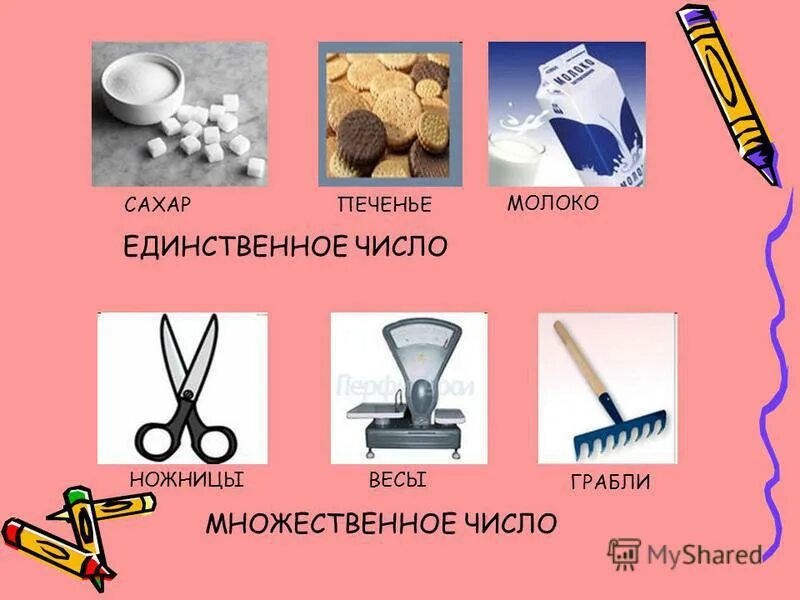 Орудия труда имеющие форму только множественного числа. Орудия труда имеющие форму только множественного числа