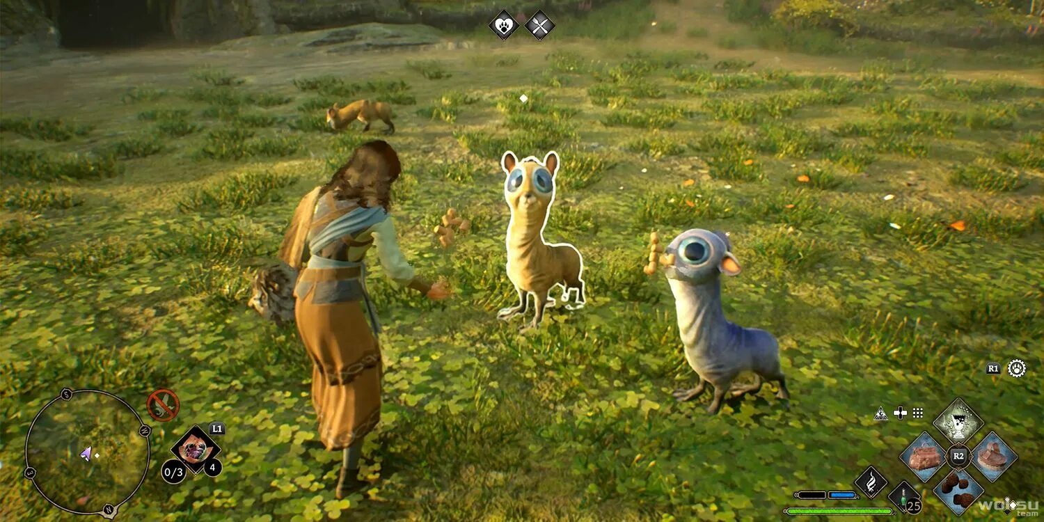 Хогвартс легаси звери. Hogwarts legacy звери. Хогвартс игра животные. Hogwarts legacy питомцы. Hogwarts legacy звери.