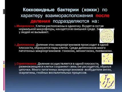 Примеры возбудителей