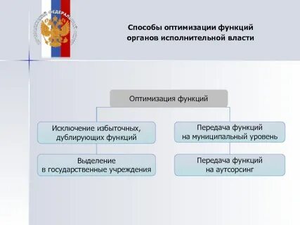 Контрольно надзорная функция исполнительной власти