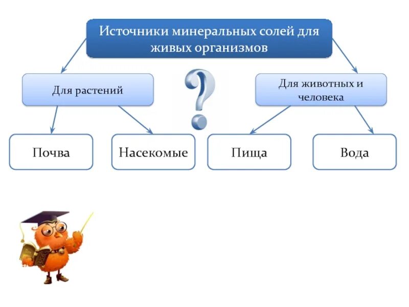 Источники Минеральных солей. Источники Минеральных солей для животных и человека. Минеральные соли в организме человека. Минеральные соли источники.