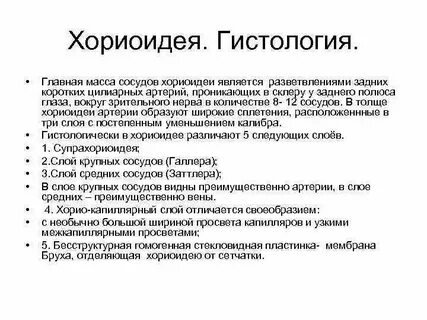 Хориоидея