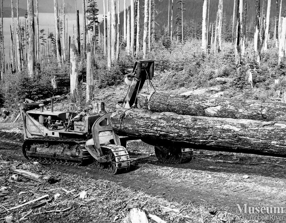 Logger log. Паровая пила. старые деревянные тяжелая техника. самая первая в мире бензопила фото. log тяжелый.
