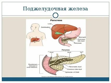 Острая пища и поджелудочная железа