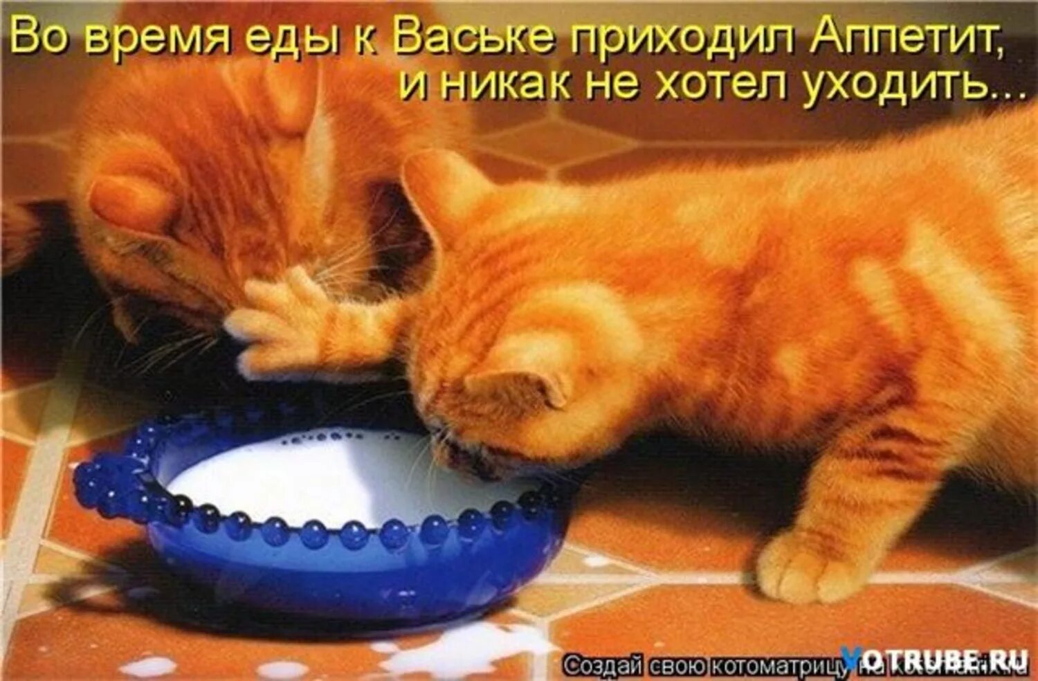 Они смотрят на меня так жадно ничего