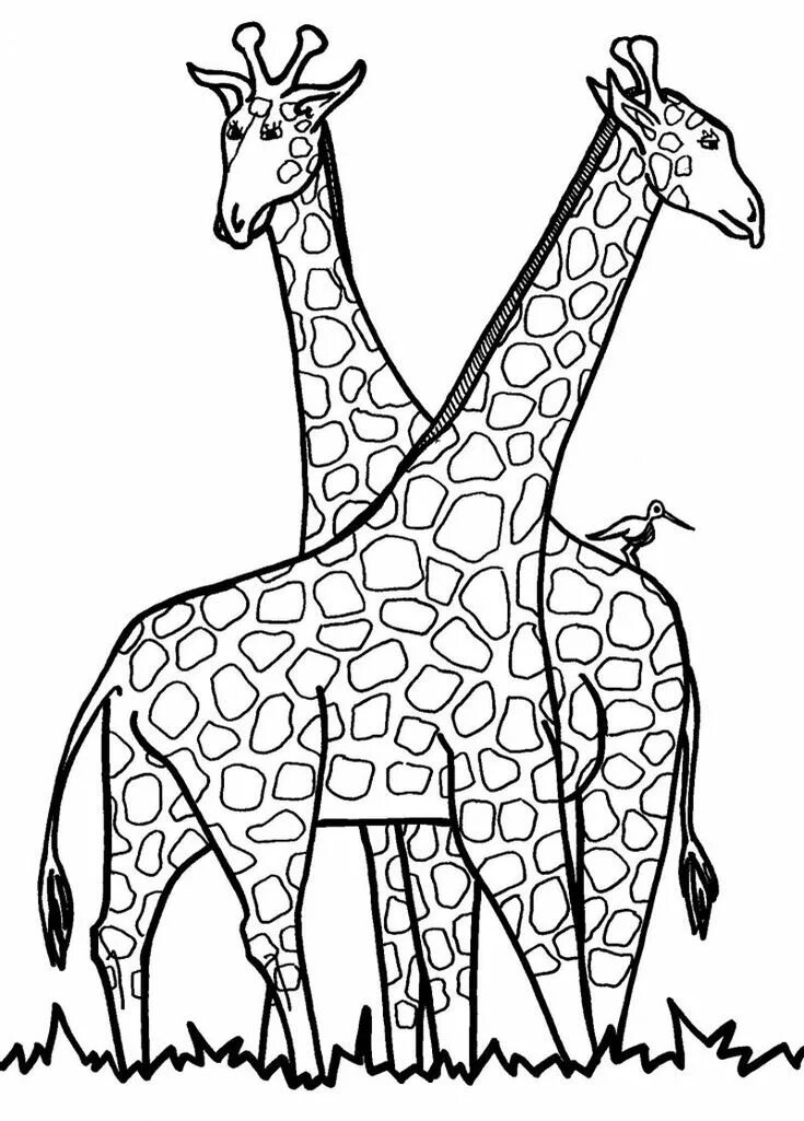 Раскраски для детей жираф распечатать бесплатно Animal Coloring Pages Letter Tracing Giraffe 400 518 Homemade Creations
