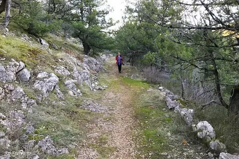 Тропа паласса