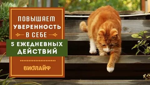 Ежедневные действия