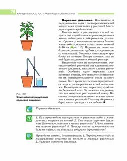 Какие растения выделяют сок