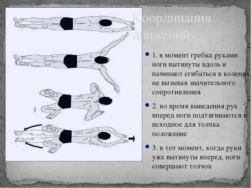 Движение ног в брассе