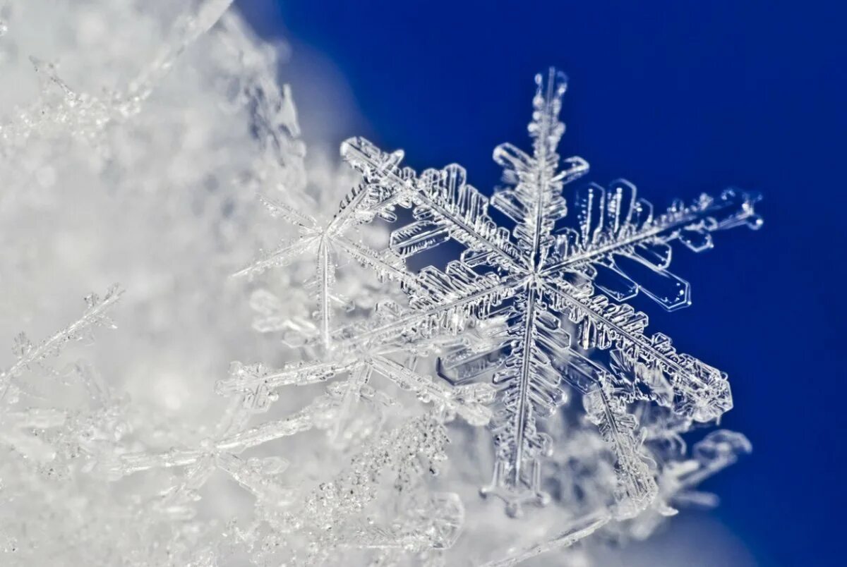 Красивые снежинки. Снежинки прекрасны. Nyt;byrb. Снежинка макро. Красивые снежинки.