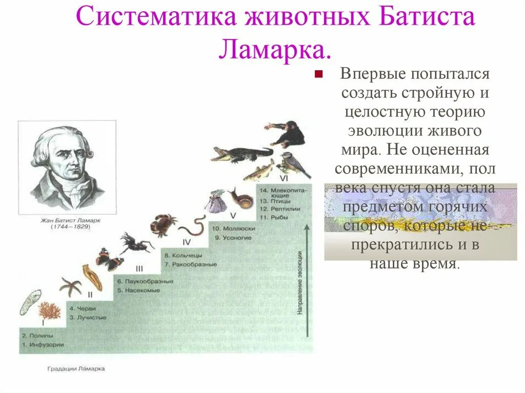 Как называют процесс исторического развития живой природы. Теория эволюции Ламарка лестница. Теория эволюции Ламарка таблица. Систематика животных по Ламарку.