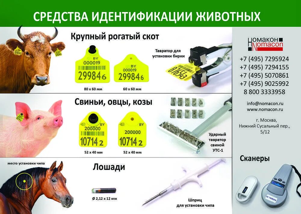 Методы учета животных