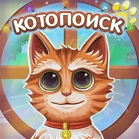 Игра котопоиск найди