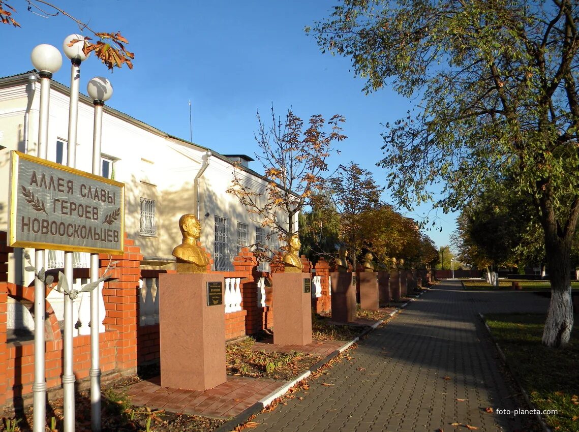 Новый оскол белгородская работа. Город новый оскол белгородской области. Город новый оскол белгородской области. Новый оскол белгородская работа. Новый оскол белгородская область.