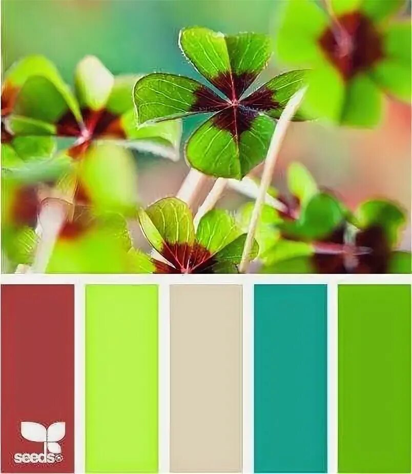 Сочетание зеленого травяного с другими цветами Tavolozze dei colori, Tavolozze, Colori