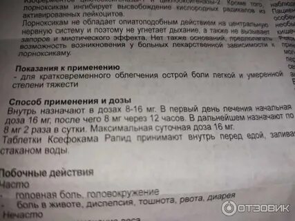 Ксефокам таблетки как принимать взрослым
