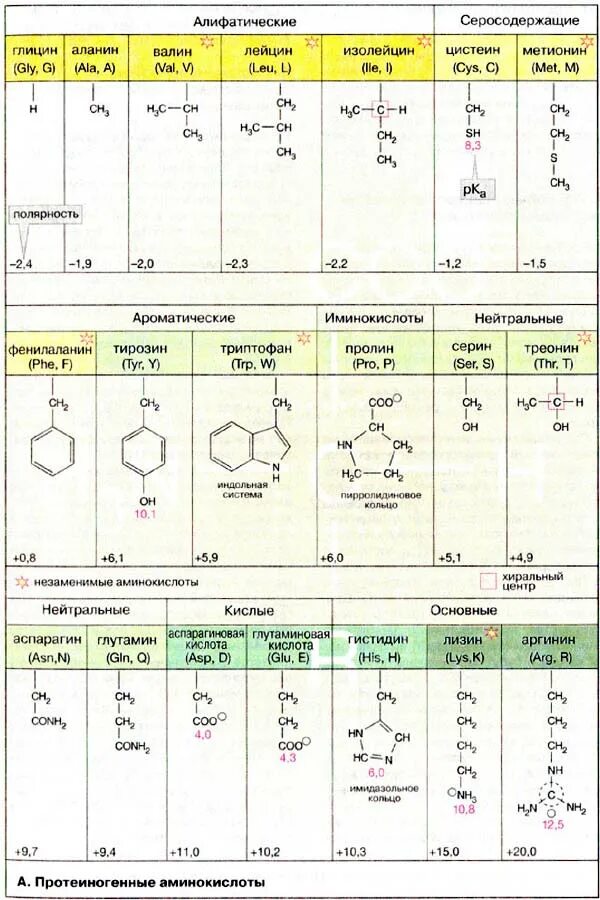 Классы фермента тип реакции. Классификация аминокислот полярные и неполярные. Составьте схему классификации белков. Ферменты классификация ферментов биохимия. Классификация биохимии.