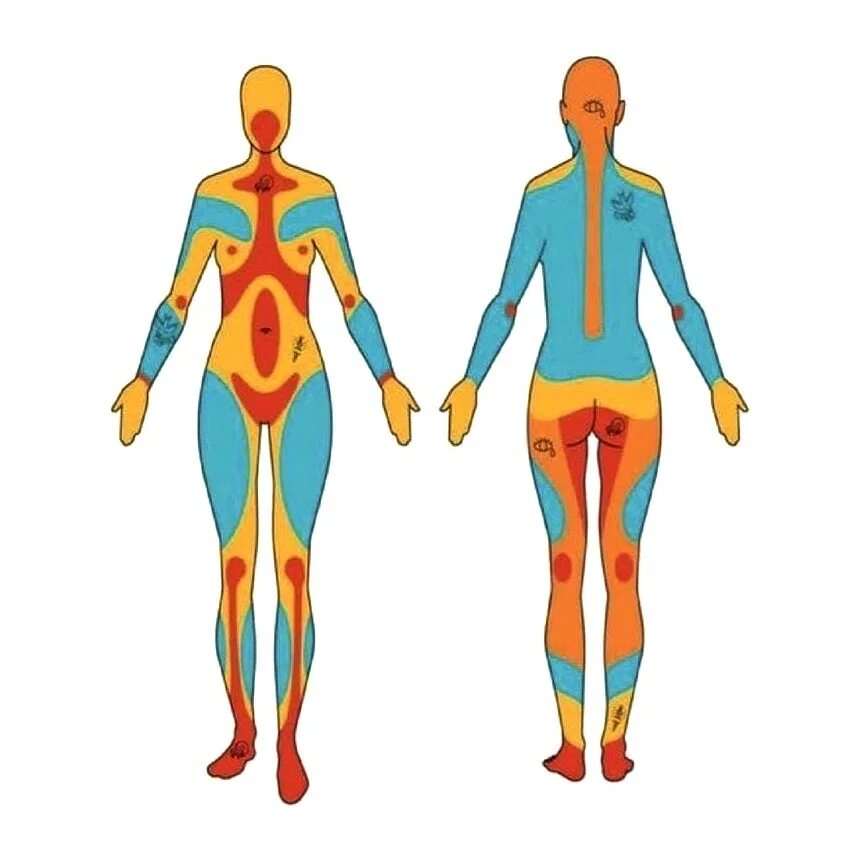 Насколько больно. Зоны боли тату. Карта боли тату. Схема боли тату. Карта боли татуировок для девушек.