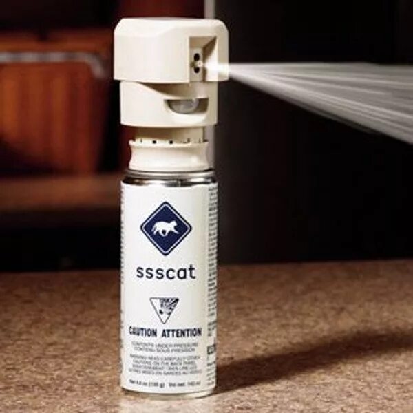 Alexa spray