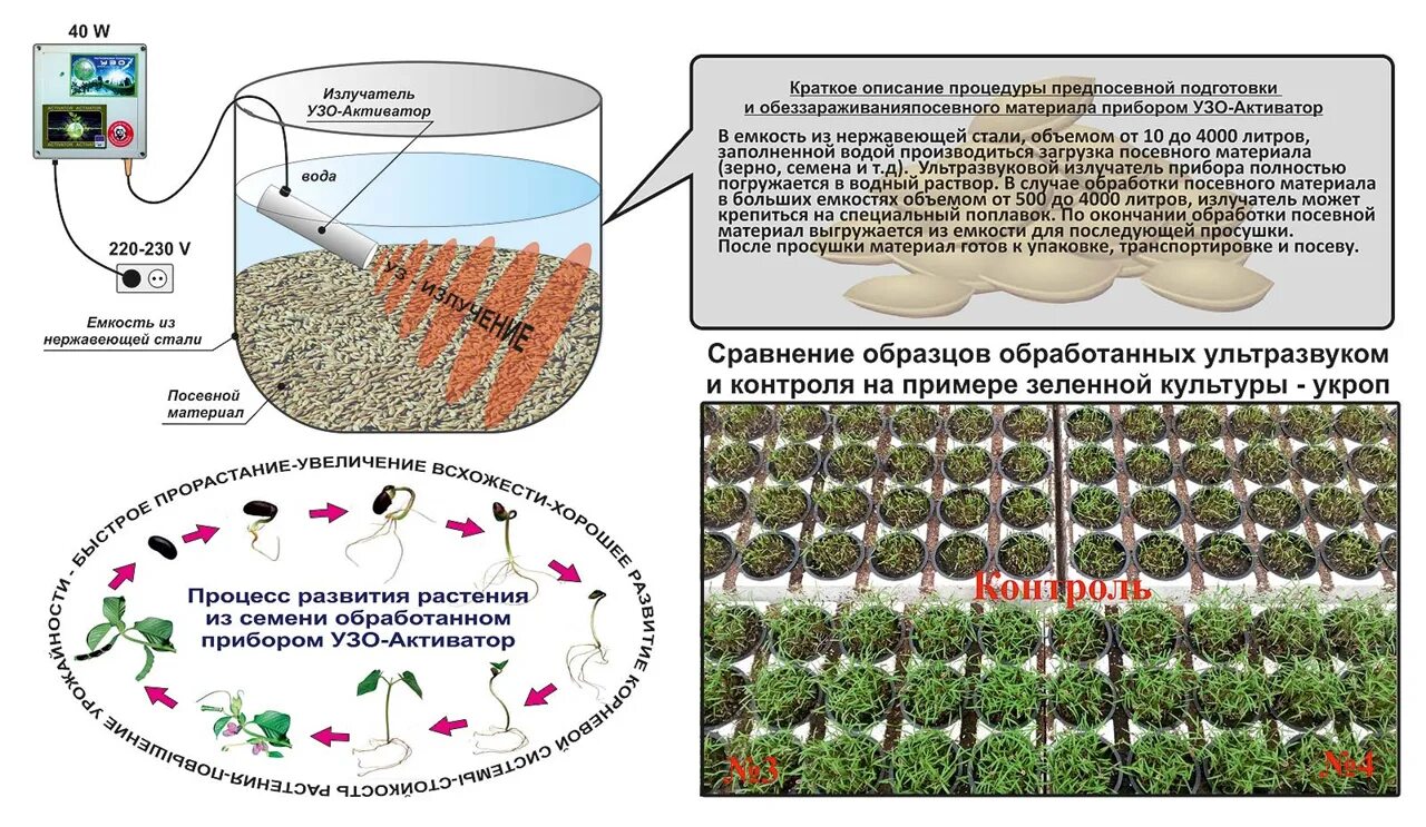 Растения активаторы. Ультразвуковая обработка посевного материала. Ультразвуковая обработка семян. Магнитная обработка семян. Тепловая обработка семян.