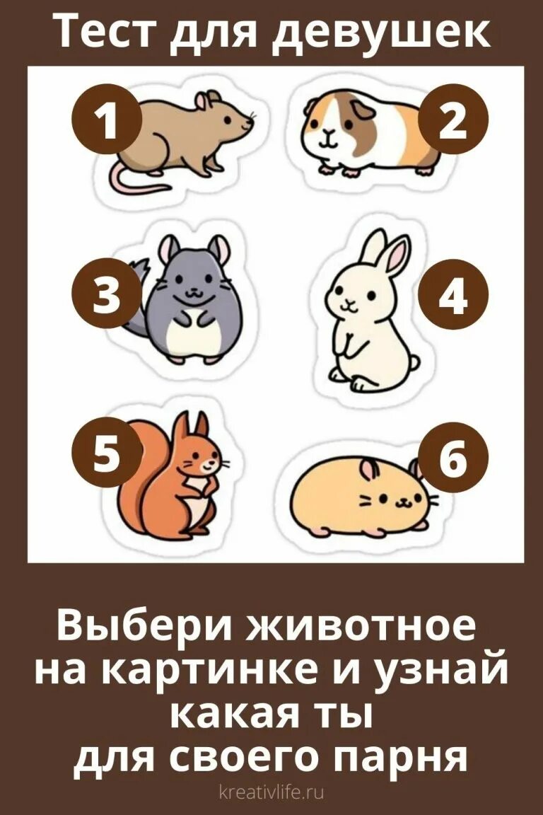 тест животные. выбери животного. выбери животного. тест выбери. психологический тест животные.