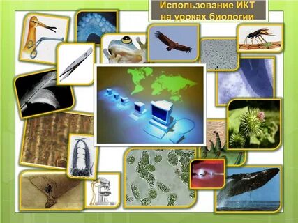 Цифровой урок по биологии