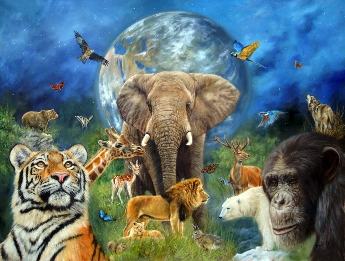Животные на земном шаре. Животный мир. Животные земли. Животный мир планеты. В мире животных.
