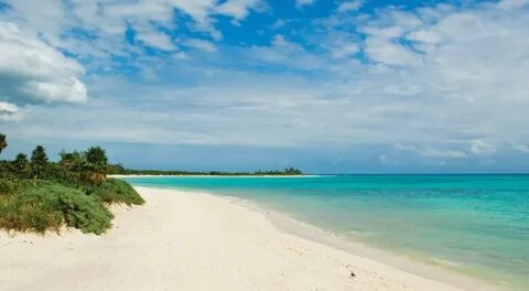 Playa las