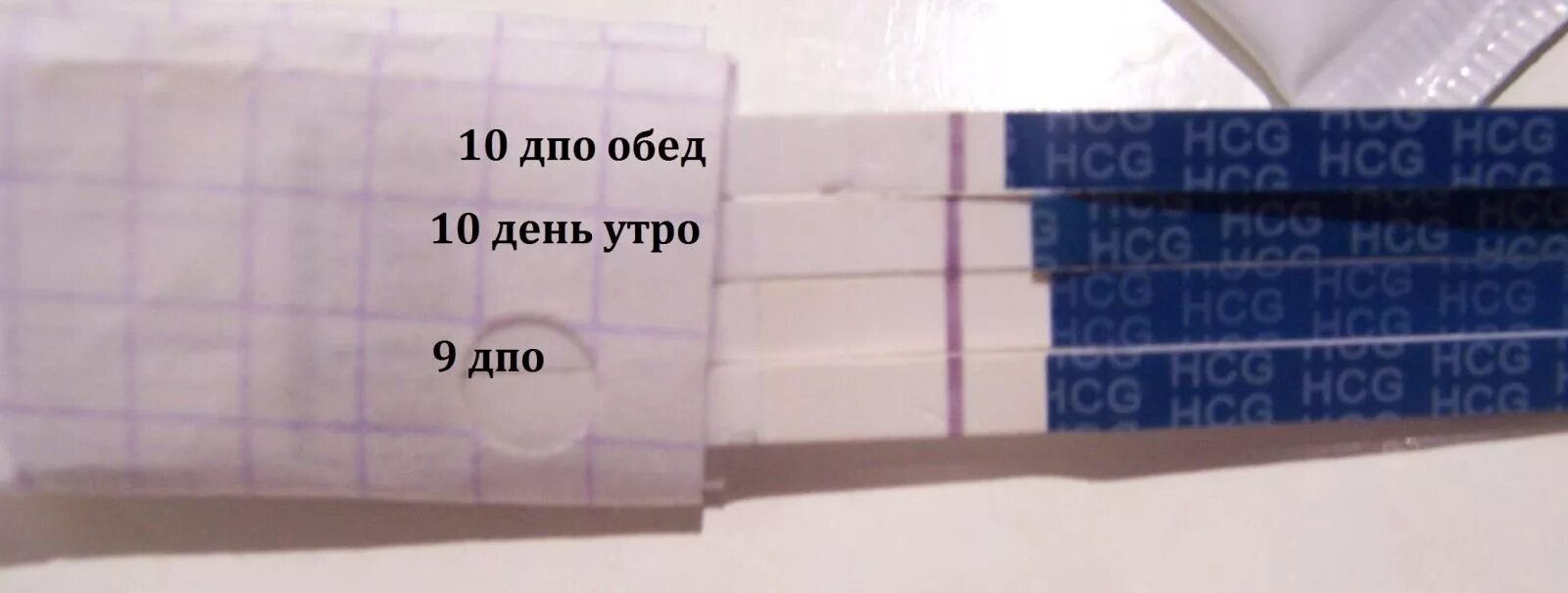 Тесты в 12 2