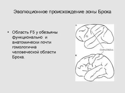 Область f