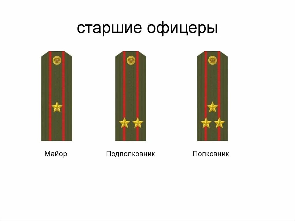 Старшие войсковые офицеры звание. Погоны младшего офицерского состава Российской армии. Старший офицерский состав звания.