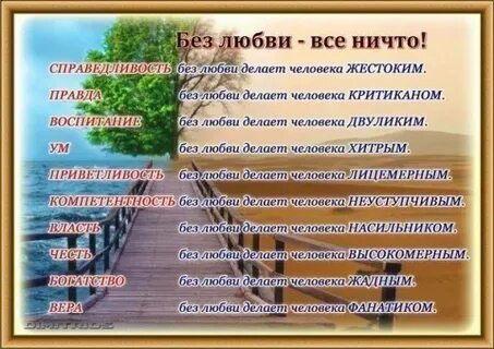 Может ли человек без любви