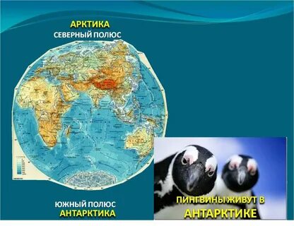 Глобус северный ледовитый