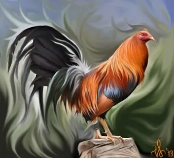 Cock arts