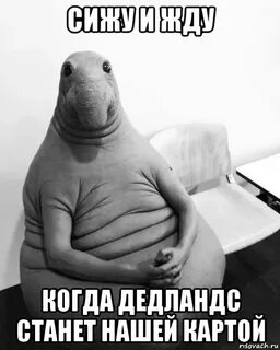 Сижу жду когда выйдет из душа потом