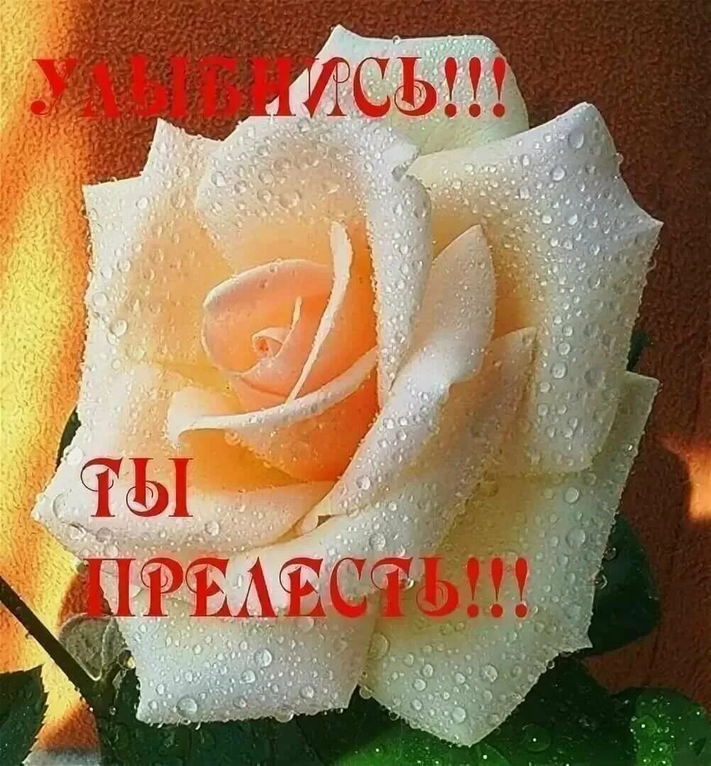 Улыбнись комплимент. Открыточки с комплиментами. открытка комплименты. самой нежной и красивой. открытки ты прекрасна.