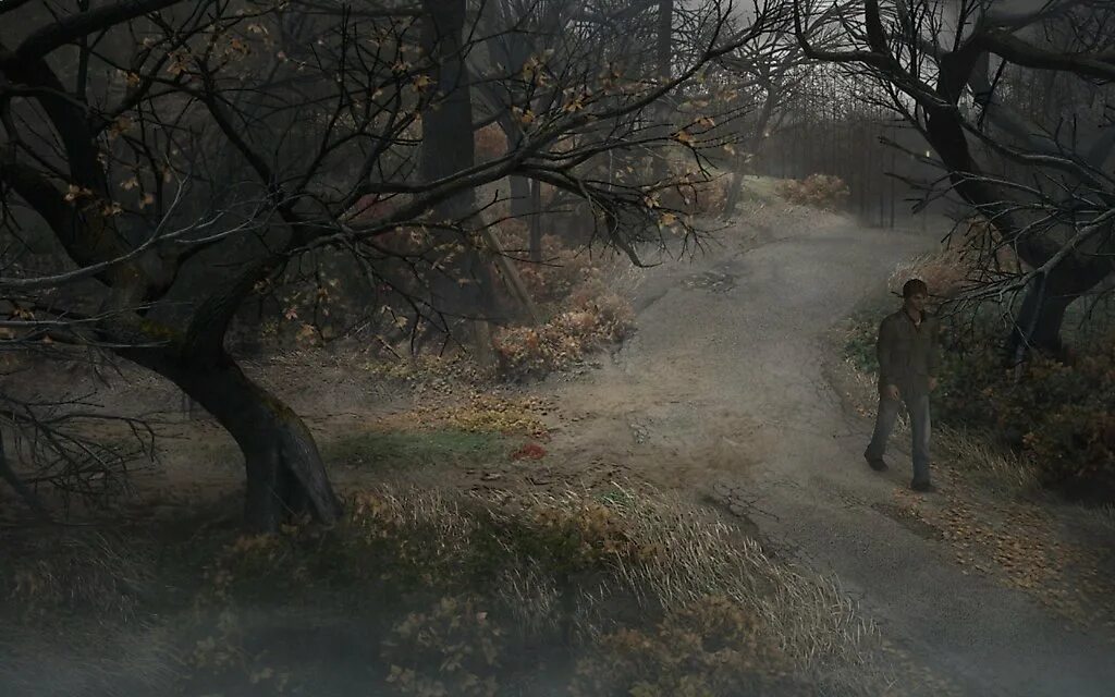 Пустая темная комната. Темно прошедший. Темно прошедший. Ночной лес. Сша, штат вермонт.