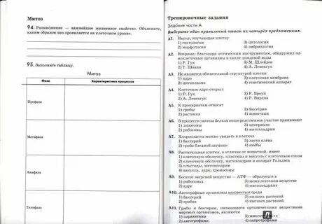Рабочая программа пасечник 10 11