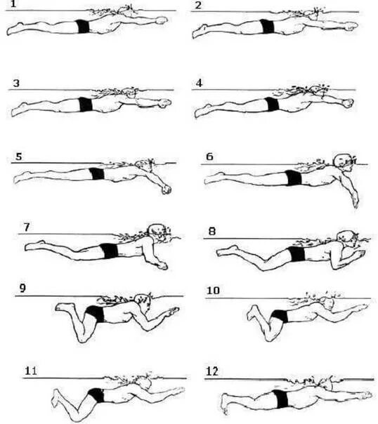 Обучение плаванию начинающих. Кроль брасс Баттерфляй. Брасс и Кроль техника плавания. Техника плавания брассом. Стиль плавания Кроль брасс.