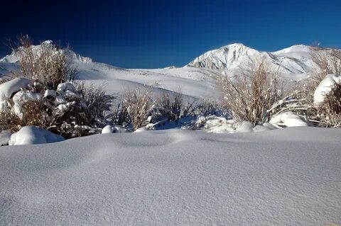 Snow in the east