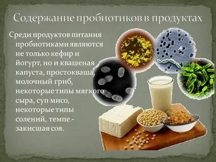 Пробиотики в пище